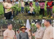 Resmi Dilantik,DPD Tani Merdeka Indonesia Kabupaten Tangerang Laksanakan giat Sosial Berbagi Nasi Bungkus Untuk Petani