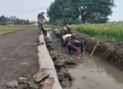 Kepala Desa Mekar Baru Tinjau Kegiatan Padat Karya, Fokus Pembersihan Drainase