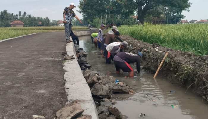 Kepala Desa Mekar Baru Tinjau Kegiatan Padat Karya, Fokus Pembersihan Drainase