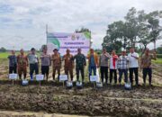 Perkuat Ketahanan Pangan Desa, BUMDesa Pakombes Rancagede Manfaatkan Lahan Tidur