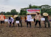 BUMDesa Cempaka Sidoko Fokus Kembangkan Sektor Pertanian dan Perikanan