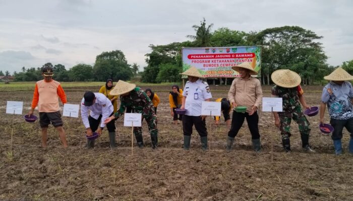 BUMDesa Cempaka Sidoko Fokus Kembangkan Sektor Pertanian dan Perikanan